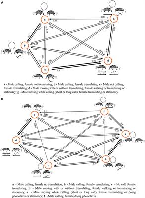 Response Mode Choice in a Multimodally Duetting Paleotropical Pseudophylline Bushcricket